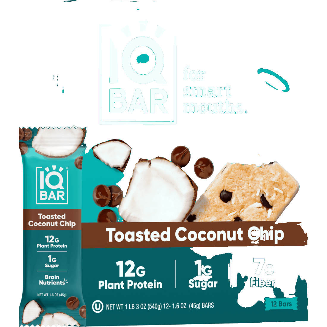 IQBAR Protein Bar — Toasted Coconut Chip